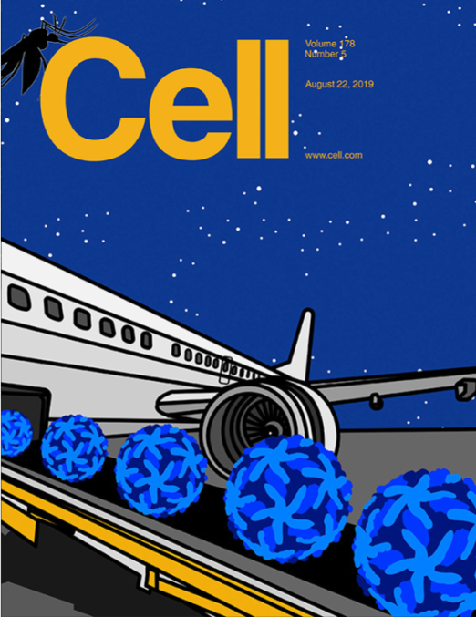 Cell Cover 8 22 2019